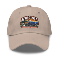 Virginia embroidered dad hat in Stone