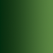 Vallejo Xpress Color 72.465 Forest Green 18ml - view 4
