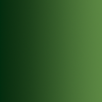 Vallejo Xpress Color 72.465 Forest Green 18ml - view 4