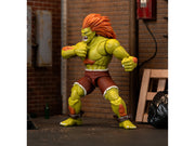 Blanka 7.5" Moveable Figure with Accessories and Alternate Head and Hands "Ultra Street Fighter II: The Final Challengers" (2017) Video Game Model by Jada image 5