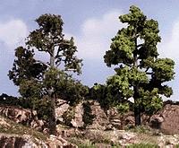 Woodland Scenics TR1112 – 3"-7"Med Green Deciduous Trees 6/Kit #1112 product image