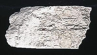 Woodland Scenics C1217 Concrete Terrain Paint - product image