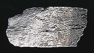 Woodland Scenics C1218 Stone Gray Terrain Paint - product image