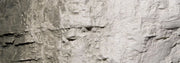 Woodland Scenics C1218 Stone Gray Terrain Paint - view 5