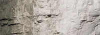 Woodland Scenics C1218 Stone Gray Terrain Paint - view 5