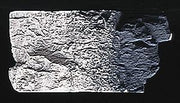 Woodland Scenics C1219 Slate Gray Terrain Paint - product image