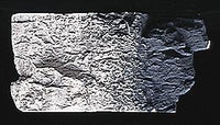 Woodland Scenics C1219 Slate Gray Terrain Paint - product image