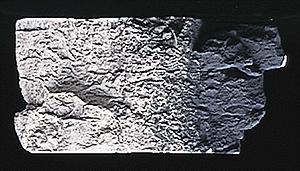 Woodland Scenics C1219 Slate Gray Terrain Paint - product image