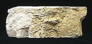 Woodland Scenics C1223 Yellow Ochre Terrain Paint - product image