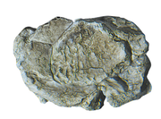 Woodland Scenics C1237 Wind Rock Mold - view 5