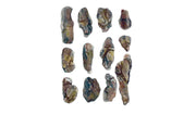 Painted rock casting examples made with Woodland Scenics C1246 Creek Bed Rock Mold; casting materials and paint sold separately