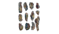 Painted rock casting examples made with Woodland Scenics C1246 Creek Bed Rock Mold; casting materials and paint sold separately