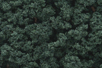 Woodland Scenics FC147 Dark Green Bushes - 21.6 cu in - view 3
