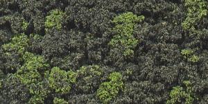 Woodland Scenics FC149 Forest Blend Bushes - 21.6 cu in - product image