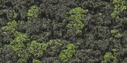 Woodland Scenics FC149 Forest Blend Bushes - 21.6 cu in - product image