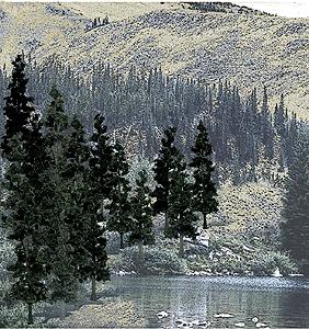 Woodland Scenics Conifer Pine trees 4 to 6 inch TR1581