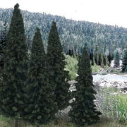Woodland Scenics TR1586 Evergreen Blend Trees - 4 to 6 in - 13 Pack - product image