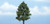 Woodland Scenics TR1608 Premium Sweetgum Tree - view 5