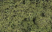 Woodland Scenics L161 Spring Green Lichen - product image