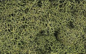 Woodland Scenics L161 Spring Green Lichen - product image