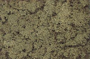 Woodland Scenics Burnt Green clump foliage FC181