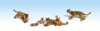 HO COUGARS & CUBS product image