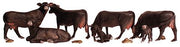 Woodland Scenics A1955 Black Angus Cows - HO Scale - product image