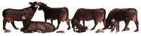 Woodland Scenics A1955 Black Angus Cows - HO Scale - product image