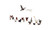 Woodland Scenics A1968 Geese & Chickens - HO Scale - view 5