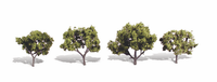 Woodland Scenics TR3503 Early Light Trees - 2 to 3 in - 4 Pack - view 3