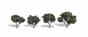 Woodland Scenics TR3505 Cool Shade Trees - 2 to 3 in - 4 Pack - view 3