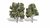 Woodland Scenics TR3513 Sun Kissed Trees - 5 to 6 in - 2 Pack - view 5
