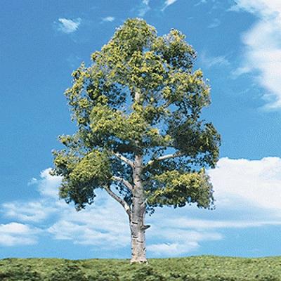 Woodland Scenics TR3531 Waters Edge Trees - 0.75 to 1.25 in - 8 Pack - product image