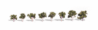 Woodland Scenics TR3531 Waters Edge Trees - 0.75 to 1.25 in - 8 Pack - view 3
