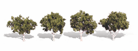 Woodland Scenics TR3533 Waters Edge Trees - 2 to 3 in - 4 Pack - view 4