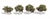 Woodland Scenics TR3533 Waters Edge Trees - 2 to 3 in - 4 Pack - view 5