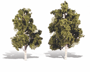 Woodland Scenics TR3537 Waters Edge Trees - 6 to 7 in - 2 Pack - view 3