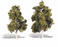 Woodland Scenics TR3537 Waters Edge Trees - 6 to 7 in - 2 Pack - view 3