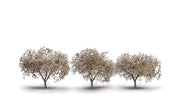 Woodland Scenics TR3594 Cherry Blossom Trees - 1.75 to 2.25 in - 3 Pack - view 4