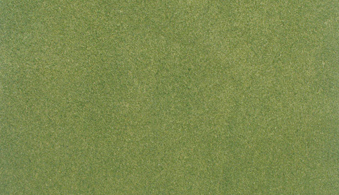 Woodland Scenics RG5171 Spring Grass ReadyGrass 25 by 33 inch vinyl mat roll