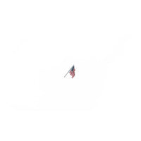 Woodland Scenics JP5953 US Flag Wall Mount Small - Any Scale - view 3