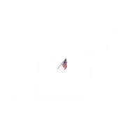 Woodland Scenics JP5953 US Flag Wall Mount Small - Any Scale - view 4