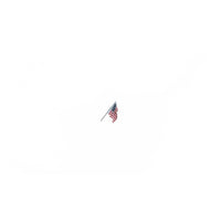 Woodland Scenics JP5953 US Flag Wall Mount Small - Any Scale - view 4
