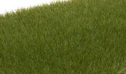 Woodland Scenics FS617 Static Grass - Dark Green - 4mm - product image