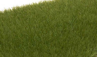 Woodland Scenics FS617 Static Grass - Dark Green - 4mm - product image