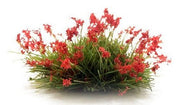 Woodland Scenics FS773 Red Flowering Peel 'n' Place Tufts - product image