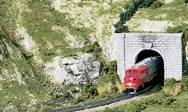 Woodland Scenics S929 N Scale SubTerrain Scenery Kit