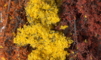 Woodland Scenics F1135 Fall Mix Fine-Leaf Foliage, close-up of foliage color and fine branching texture.