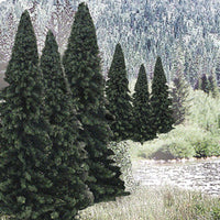 Woodland Scenics TR1585 Evergreen Blend alternate view