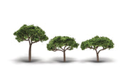 Woodland Scenics TR3555 Canopy Trees, three green broad-canopy model trees.